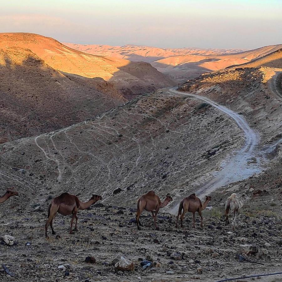 Dead Sea Desert'S Edge Arad Exterior foto