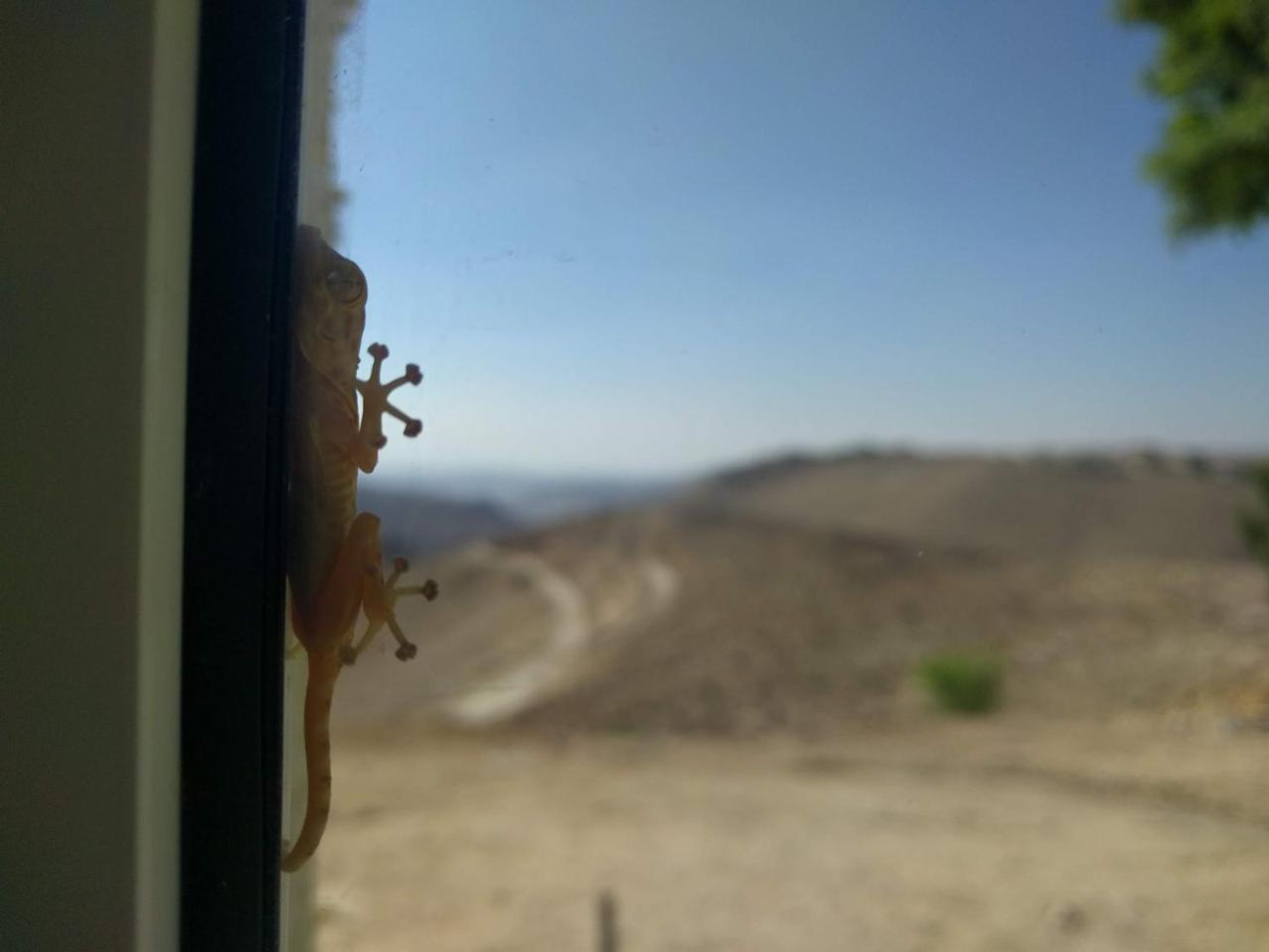 Dead Sea Desert'S Edge Arad Exterior foto
